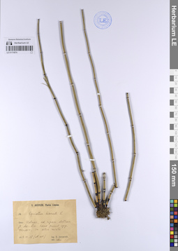LE 01174574
