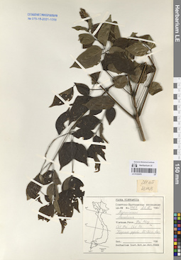 LE 01232470