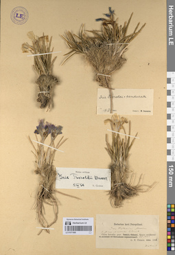 LE 01071968