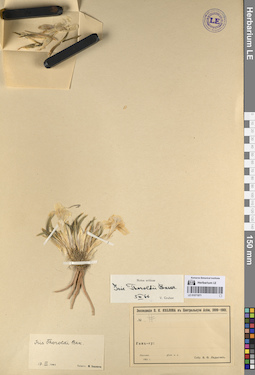 LE 01071971