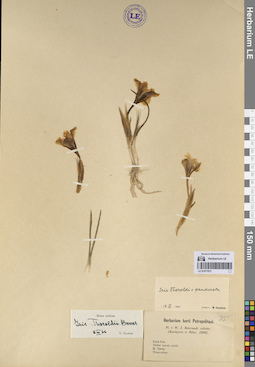 LE 01071973
