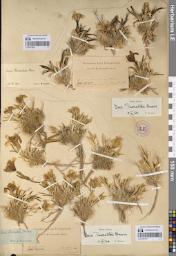 LE 01072827