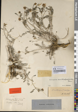 LE 01222715
