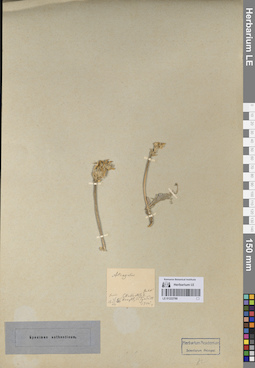 LE 01222788