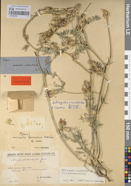 LE 01222789