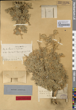 LE 01222884