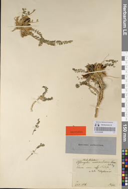 LE 01222908