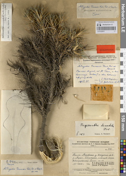 LE 01222911