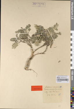 LE 01222917