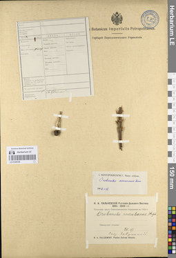 LE 01249159