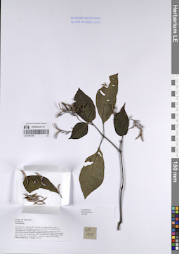 LE 01067298