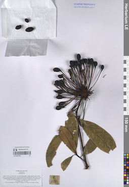 LE 01232755