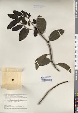 LE 01232822