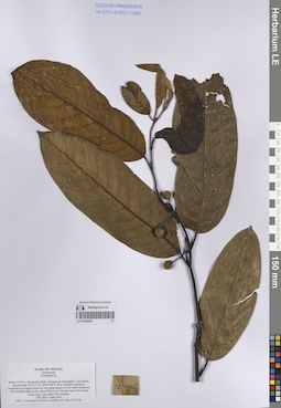LE 01232839