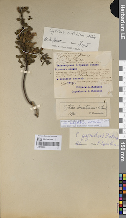 LE 01222836