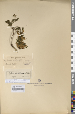 LE 01222837