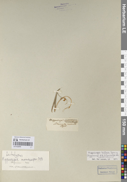 LE 01222876