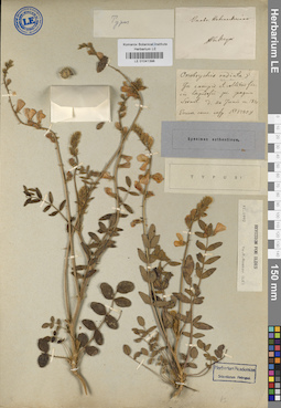 LE 01041398