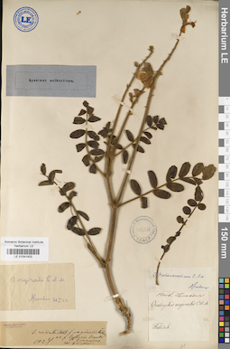 LE 01041403