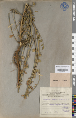 LE 01041404