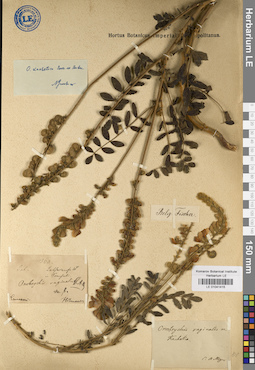 LE 01041415
