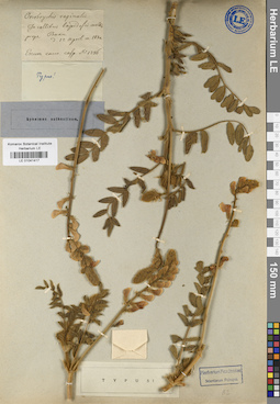 LE 01041417