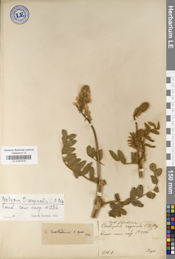 LE 01041418
