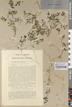 LE 01222948