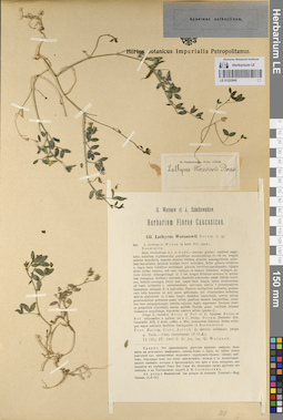LE 01222949