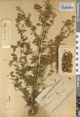 LE 01222976