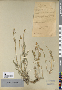 LE 01225020