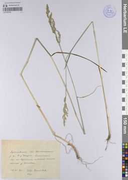 LE 01207102