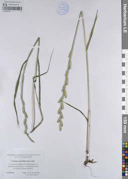 LE 01207147