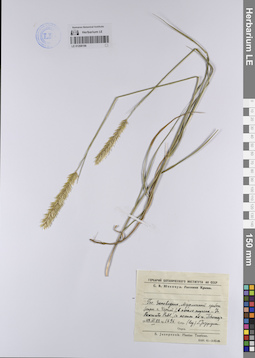 LE 01208196