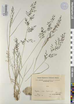 LE 01208891