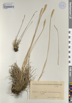 LE 01208895