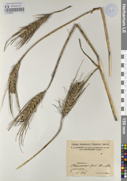 LE 01208902