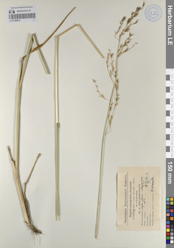 LE 01208914