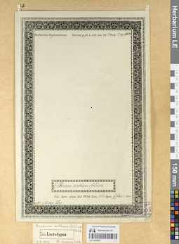 LE 01225057
