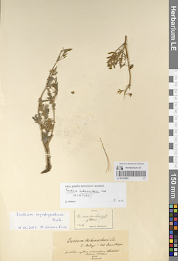 LE 01225065