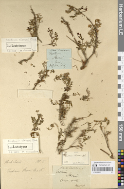 LE 01225071