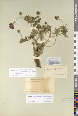 LE 01225082