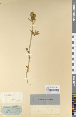 LE 01225137