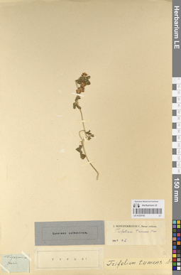 LE 01225152