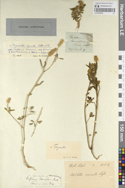 LE 01225168
