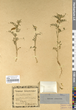 LE 01225190