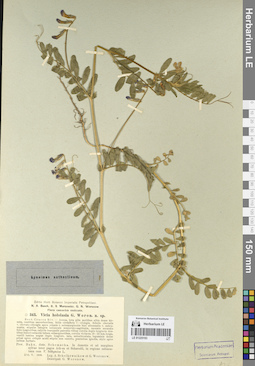 LE 01225193