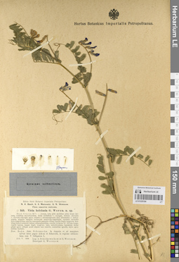 LE 01225194