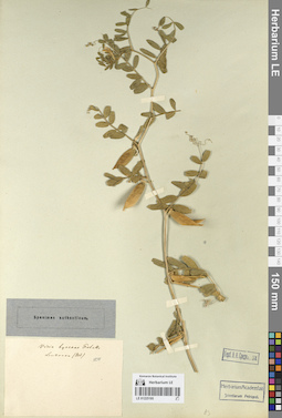 LE 01225195