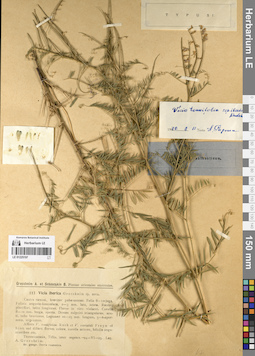 LE 01225197